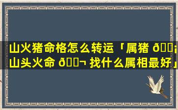 山火猪命格怎么转运「属猪 🐡 山头火命 🐬 找什么属相最好」